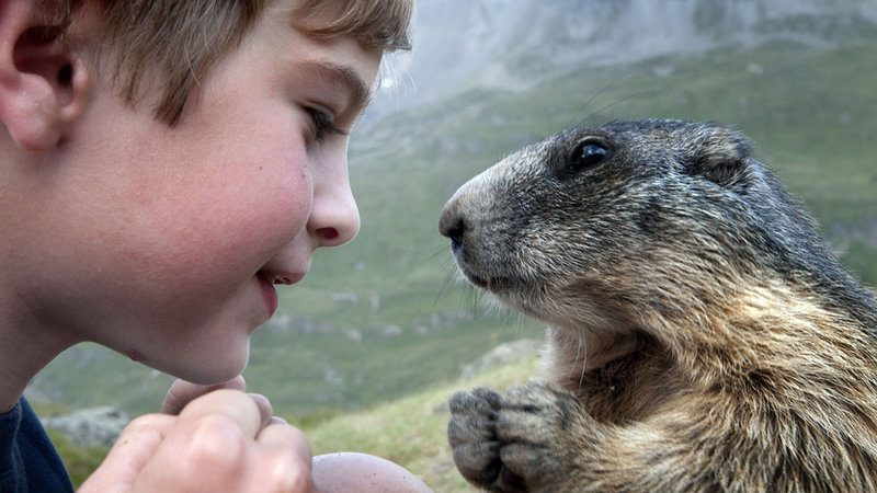 Illustration for article titled Science demands that you stop calling this kid the 'Marmot Whisperer'